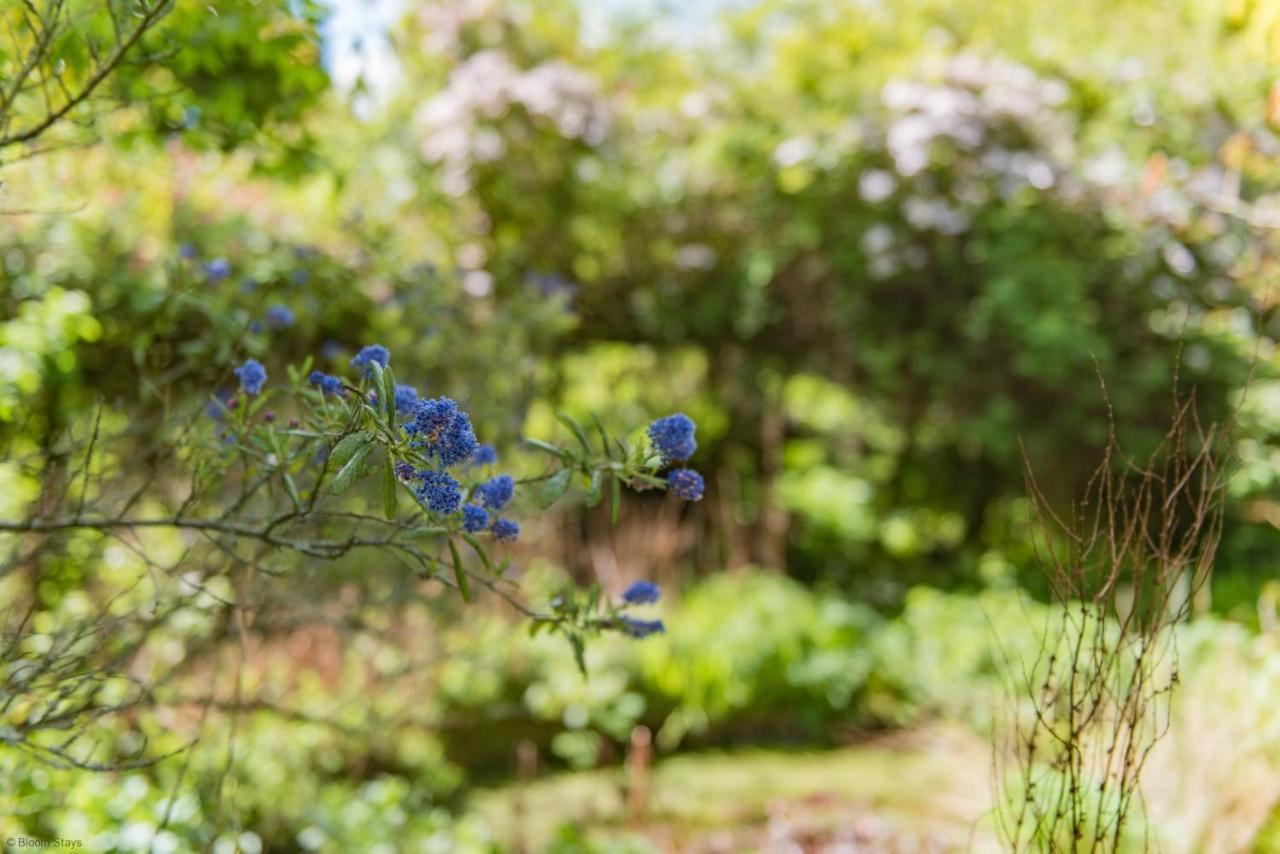 Walnut Tree Cottage By Bloom Stays ฟาเวอร์แชม ภายนอก รูปภาพ